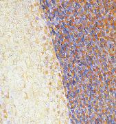 Detail of Dance, Georges Seurat